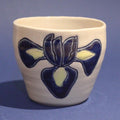 Iris Vessel